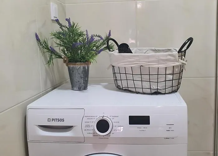 Cozy * 코스 타운